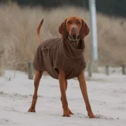 THE DOG IDEA Bademantel Every Braun XXXS -Ruffweal Verkaufe 62c517832f7f923b83b0a0ee681a77b2e33cc3c3 1473036 de DE 2393ef51979dd0191b0261c826741cb7543b7b3brAaZfV