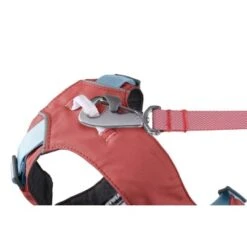 Ruffwear Flagline™ Geschirr Pink L-XL -Ruffweal Verkaufe 6336745b38eb1dda3aa9b7ee2cb80b972fcc0b45 1444288 de DE e2428f2000ec8338e10a272ee848e3c44342d5c4R6HQ0p