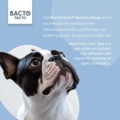 ChronoBalance BactoFacto Probiotischer Geruchsstopp Pads Für 2 Liter 20 Ml -Ruffweal Verkaufe 6515b6e6800e68909a0a5f7e0f816613e8c36542 1397549 de DE 9a466fcf5c88e78df191b07c6d764f4746df49dcxtsIbT