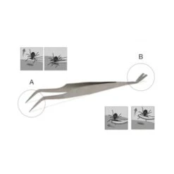 Lills Zeckenzange Aus Edelstahl 7 Lills Zeckenzange Aus Edelstahl -Ruffweal Verkaufe 666f3a3fb181b232ac8339dfb19af759aa845978 1488086 de DE f0e508c7b7855d95e1b35fa6dabdb0d0ba4555f76ECWsn