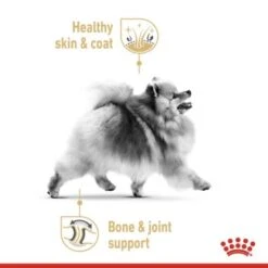 ROYAL CANIN BHN Pomeranian 1,5 Kg -Ruffweal Verkaufe 6865a0d5b3b6f4031fe66f1783027cb67f3814f7 1379877 41