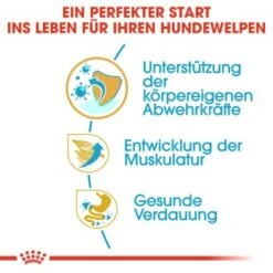 ROYAL CANIN Boxer Puppy 12 Kg -Ruffweal Verkaufe 688da358c7c13e34db44e38709f501f61e164dee b934048524a4df1f17cf77c3abbb472833d5297e