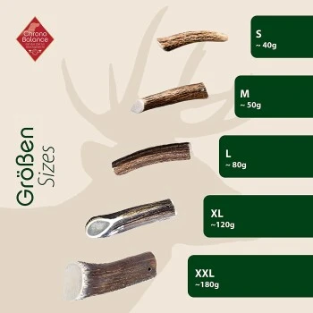 ChronoBalance Geweih Halbiert (S) 2er Paket 6 ChronoBalance Geweih Halbiert (S) 2er Paket – Bild 6