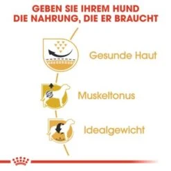 ROYAL CANIN Mops Adult 3 Kg 11 ROYAL CANIN Mops Adult 3 Kg -Ruffweal Verkaufe 692380ccc5f5993b19ae774e1237a0f22805c9c6 d7ec305189a355501b117198a53c0db1b2b911df