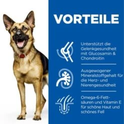 Hill's Canine Active Longevity Mature Adult 6+ Senior Large Breed 14 Kg -Ruffweal Verkaufe 6aef2dc6c63c040d4fa47f8a4eb80d66def76689 52742025926 4