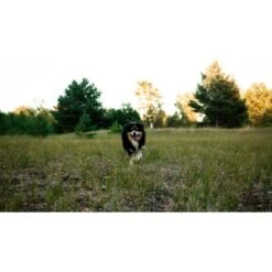 Mammaly Immu Push 110g -Ruffweal Verkaufe 6e1addc1ae263ee1f16a02c5ac24fd2a4aba0889 1472893 6