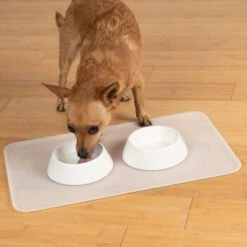 KaraLuna Basic Napfunterlage Transparent S -Ruffweal Verkaufe 6f92b46b9666870298738b4bee75a50ee534fac6 1407499 de DE 14497c23a79b7136237df13f9c32b5ed84fd5ff04vyZgl