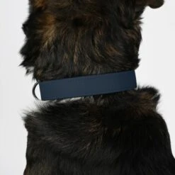 THE DOG IDEA Biothane Halsband Navy Neon Gelb XS -Ruffweal Verkaufe 6fd2b4918a3646f398fd352f4f8921fb2db71354 1481054 de DE 2eb47437e49e7285dfb051bfdaad6fee4d199d13okJULW