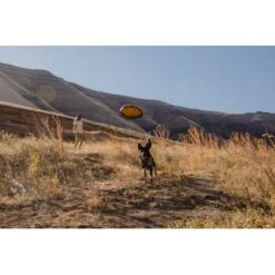 Ruffwear Hover Craft™ Spielzeug Orange 13 Ruffwear Hover Craft™ Spielzeug Orange -Ruffweal Verkaufe 7111f12b44323f3d6c15a85a889225520ab85f0d 1364297 de DE 664accd36f55b32e3ca302e20a868b09c8c0d85ePbTUSI