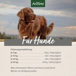 Aniforte WildBuffalo Büffel Mit Spinat 2,4 Kg -Ruffweal Verkaufe 74fabe08661b127a19cecb43c5d981b64161f452 1422176 de DE ecf8c646fa9f7a73ce2de360e52f7434941d6424M3kGzG