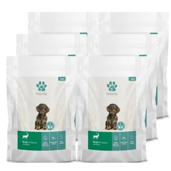 Fellicita Hirsch Mit Gemüse & Hirse 6x 300g 2 Fellicita Hirsch Mit Gemüse & Hirse 6x 300g – Bild 2