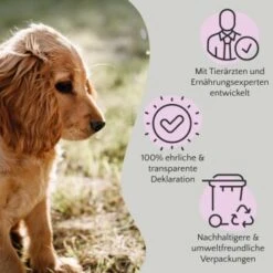 FAVLY Petfood FAVLY Probierpaket "Snack It" 11 FAVLY Petfood FAVLY Probierpaket "Snack It" -Ruffweal Verkaufe 76de882c7775b6f702fd4d6da347da46c83b7668 1475299 de DE 908544d2c24927cde4ce8f1acefe41ebea7bec29ERVYJt