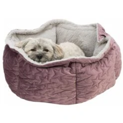 Trixie Bett Estelle Samt-Optik ø 50 Cm Beere/ Grau -Ruffweal Verkaufe 77bb4f5cd7384a9905de3a40eb3a823ce700b54b 1378629 de DE Trixie 6