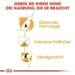 ROYAL CANIN Zwergschnauzer Adult 3kg -Ruffweal Verkaufe 77e331cd9fcae9ed7be9f7a8c30418a1469100cb 1e18f973f74ec6522c9cbb67634ea47bb6587bea