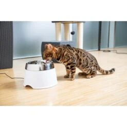 AniOne Edelstahl-Trinkbrunnen Trevi Ohne Ersatzfilter -Ruffweal Verkaufe 7a066af048695bbfaeca0a855e5984fc3bf99d03 689fcf415d486ac05c07f2a4868b1d087d7a9ece