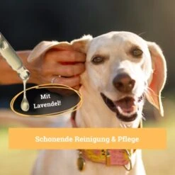 BeG Buddy Ohrreiniger Für Hunde, Juckreiz, Verschmutzung & Ohrmilben, Ohrenpflege Hund -Ruffweal Verkaufe 7b60a3022ebb426552422fbdc4dd8d77c64be8cf 1500787 de DE b51c870aaae4933941aa890d02263a49251d01d5OgvvjE