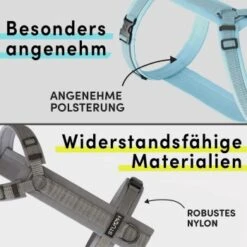 STUCH Geschirr Hund Gepolstert Schwarz XS -Ruffweal Verkaufe 7c1f0c8ff775c50c5b8126957113b6eb05f29ad4 1410595 de DE a4ae0b7a8ffc6f7f19d793017e898bdceeb314c9qzj83S