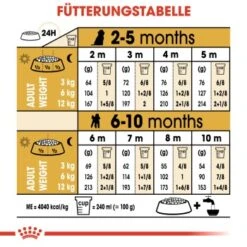 ROYAL CANIN Poodle Puppy 3kg -Ruffweal Verkaufe 7c356ad4610b8a705c3b24f682002d504aa26a06 03759a00ee1cb8701f90fe54c89729f207ade41a