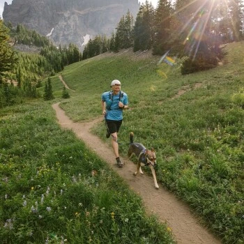 Ruffwear Geschirr Front Range Royal S 2 Ruffwear Geschirr Front Range Royal S – Bild 2