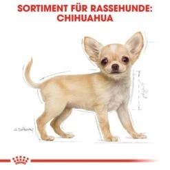 ROYAL CANIN Chihuahua Puppy 1,5 Kg -Ruffweal Verkaufe 7dd2fdf31fbafe12844b77541531374b85a5dbbf 5c9b8e420f544ce443bc0dcd34b99a937a14a2be