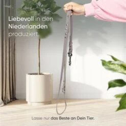 Freudentier Führleine Aus Leder Braun/ Grau 2 Cm -Ruffweal Verkaufe 7f602b438c9cbacbd0e4a958a8ce2db067d478c2 1421435 de DE 1537c36aedc8e49b53e65c7c63ce1c61d6b454b1XWq0Jx