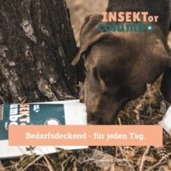 BeG Buddy Trockenfutter Insekten 10 Kg -Ruffweal Verkaufe 809bc4ff3b44a47ca72efd37dd80bd2ebc8d6768 1457249 de DE 123bfe8a8f9618b3a58ac5efe483c5e0ad6f0bd2L86XLS