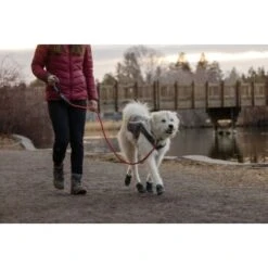 Ruffwear Just-a-Cinch™ Leine Rot -Ruffweal Verkaufe 810d255f702c333fe767503a477f8deb0416cca1 1651622 de DE 84ea7394ca3be445f5b69f032bbb3135c9273b35awu41q