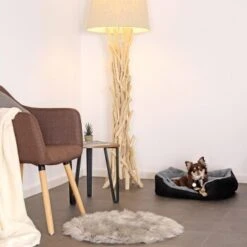 Lionto Hundekissen, Hundebett / Katzenbett Mit Wendekissen Grau/ Schwarz S -Ruffweal Verkaufe 823dc7868190f45cea2c3c69e9102b53416c384a 1642112 de DE f5ac064edf3f1139620b324558b4bbfb2c0800472VwXQ8