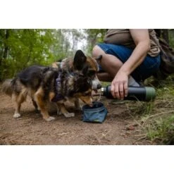 Ruffwear Great Basin™ Napf Schieferblau S -Ruffweal Verkaufe 824b44ccf17c67c3dd43e5523941633c95efed85 1651551 de DE fad827ec7223895423979e3215d64ffaeae47c26HGRUuZ