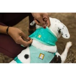 Ruffwear Swamp Cooler™ Kühlendes Halstuch Blau/ Türkis XXS -Ruffweal Verkaufe 84380b323534f706adb064c5f59bfe1f6f8adfcb 1639914 de DE 09b76313830836f68f333eee06c0a6bd83fbeec4Hirkw3