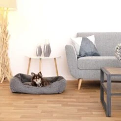 Lionto Hundebett Meliert Hundekissen Grau S 10 Lionto Hundebett Meliert Hundekissen Grau S -Ruffweal Verkaufe 863c4cf28577c89e68c42462e1ab0e58044dfd3a 1657966 de DE 8ee9a08df9d4d05432bf129f14b11547b4b5e3c5AKf3yg