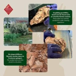 ChronoBalance Kauwurzel Baumheide (L) 2er Paket -Ruffweal Verkaufe 8657ce87a947fe0ed8c4d6a008ac5a5c7fa0f2ea 1418715 de DE ba8b2a31068658c9820512bd79f25900dbe0cd09XrvtJ9