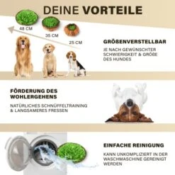 URBAN PAUL Schnüffelteppich - Grün -Ruffweal Verkaufe 88b1e83589eb6f9b9d6ae1ee9e00f76cd280ec72 1477263 de DE c4a0dff3ce61eff6f47a9625e837cb3fb18e27168j8mOa