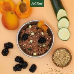 Aniforte Ente 2,4 Kg -Ruffweal Verkaufe 8935a7450ab8ddc34729bfe6098b06abc30af9cb 1422204 de DE 9202deb0f72c6fb6a090e358d9de03093d55392085KOyC