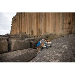 Ruffwear Grip Trex™ Hundeschuhe -Ruffweal Verkaufe 8a04129089dd0c034c3440ca2f5a059543497a42 1363993 de DE 62eaf59e4c30b32a0494684f66bc46a3e77f909dJ6uyPm