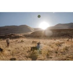 Ruffwear Hover Craft™ Spielzeug Orange 16 Ruffwear Hover Craft™ Spielzeug Orange -Ruffweal Verkaufe 8b74389fdbc592fa493fa8449b24cad477f71e65 1364297 de DE d7bfcddc5967d79946d8e13f648d6053d56005c9XiBl8J