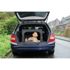 AniOne Traveller S -Ruffweal Verkaufe 8bad1cf4a40148f72620a3eb50f4a7ed585d3c59 1367559 de DE AniOne Traveller wb 10