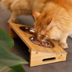 Lionto Futterstation Mit Bambusgestell -Ruffweal Verkaufe 8c56991d507e18b3df4a2f4045dbd93cd3bd9353 1665980 de DE aa6482f6e46fc6375e62da8010ac0599c0ca4960aJFeP6