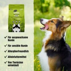 Eat Small EatSmall 2kg Maxi Active Trockenfutter -Ruffweal Verkaufe 8ce5231807dbcfa11bfebbb58ab3376db975810f 1450723 de DE 045556f8e417da90be61f538db133a32cf0ddbabSrtas7
