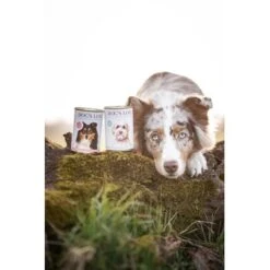 DOG'S LOVE Adult Hypoallergen 6x400g -Ruffweal Verkaufe 8e9dbde41a1a7703f7e724e8cfbb5769f1859ef8 1274558 2