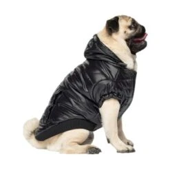 Canada Pooch Glänzende Pufferweste XXS -Ruffweal Verkaufe 8ec11177ec9f86d200ff22bc3e0c234ecff91e7e dfb5b396c833a1ace7625fc5796632bee13eda68