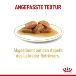 ROYAL CANIN Labrador Retriever Adul Stückchen In Soße 10x140g -Ruffweal Verkaufe 908d2bfcf8b7046cd23a14cb7b707cf7b2315fea b65885ba483fc622da80d0c8a5f75f1f8003e0ca