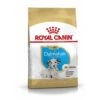 ROYAL CANIN Dalmatian Puppy 12kg