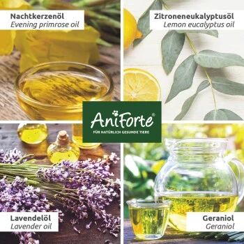 Aniforte Grasmilben-EX Spray Für Hunde 500ml 4 Aniforte Grasmilben-EX Spray Für Hunde 500ml – Bild 4