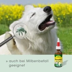 CdVet Ohrenpflege 50ml -Ruffweal Verkaufe 996bc55aca7303d71af6872442ff47b85087fa20 1322257 de DE 913b3fb28cb4c7cbb549b216ae11f3b04ff5ee25VNtsyN