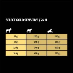 SELECT GOLD Sensitive Senior Huhn & Reis 10x125 G -Ruffweal Verkaufe 9a9b501c74c535f7c6ecd84b05c7d0a1cc9e30a4 1246280 de DE 7