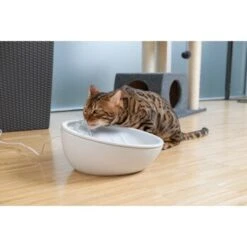 AniOne Keramik-Trinkbrunnen Waterfall Weiß Ohne Ersatzfilter -Ruffweal Verkaufe 9ab78e65ebaf72b76c537cd735c5a7cd6cd4d027 a897eca6393f48ff54c98954a2b189a96196cfbd