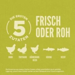 Orijen Senior 11,4 Kg -Ruffweal Verkaufe 9b0607f5fee11eb2ee013936b0add4a9aeb7ca9b 1261017 de DE Orijen Dog Senior Kibble GERMAN 3