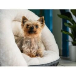 TrendPet LunaSuite Kuschelhöhle Beige S -Ruffweal Verkaufe 9b0e6908967831ef01ff6d76b34cd73bf7a2a82e 1347915 de DE 8819a7e1f2833756a61a70e3d5a5906257b91fccVBpHKR