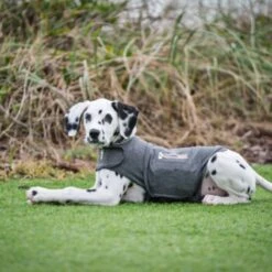 Thundershirt Beruhigungsweste Grau XS 17 Thundershirt Beruhigungsweste Grau XS -Ruffweal Verkaufe 9b6b99fb9c0e02a64cc609b7ca852c71d17d0d84 1102942 2